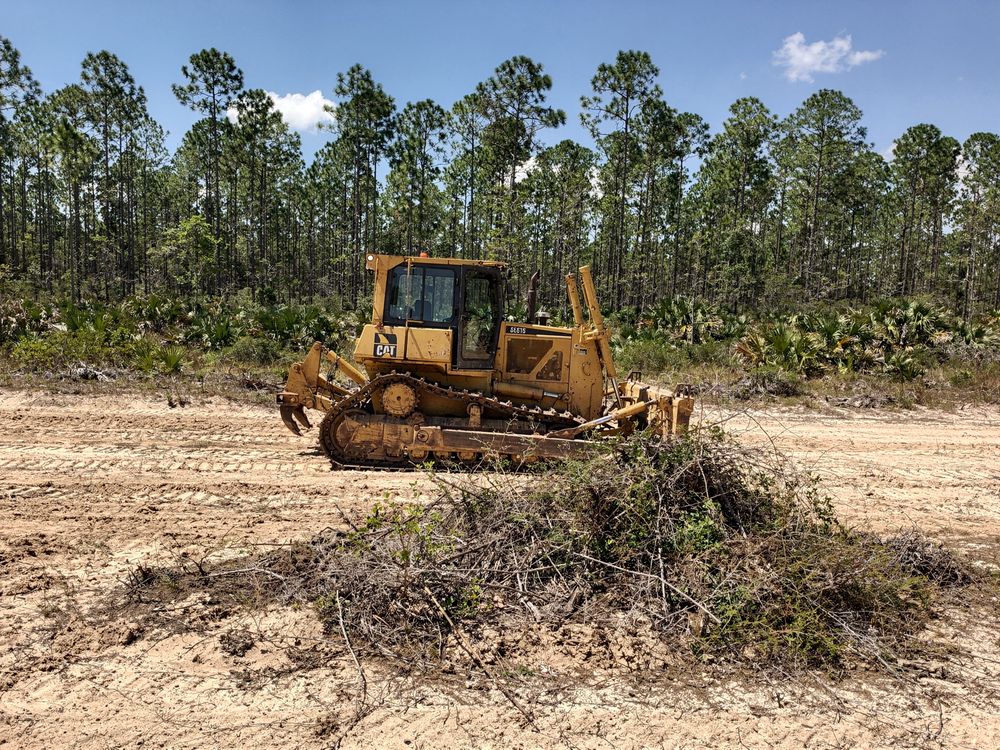 Dozer clearing and grubbing a wooded lot near Orlando, FL